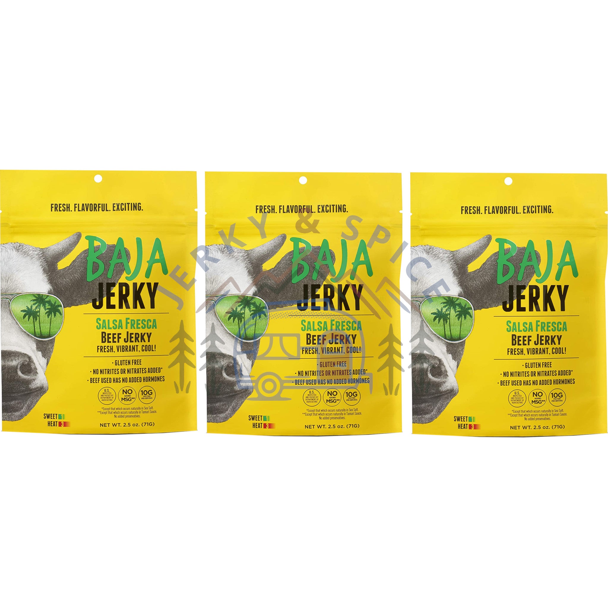 Salsa Fresca Beef Jerky