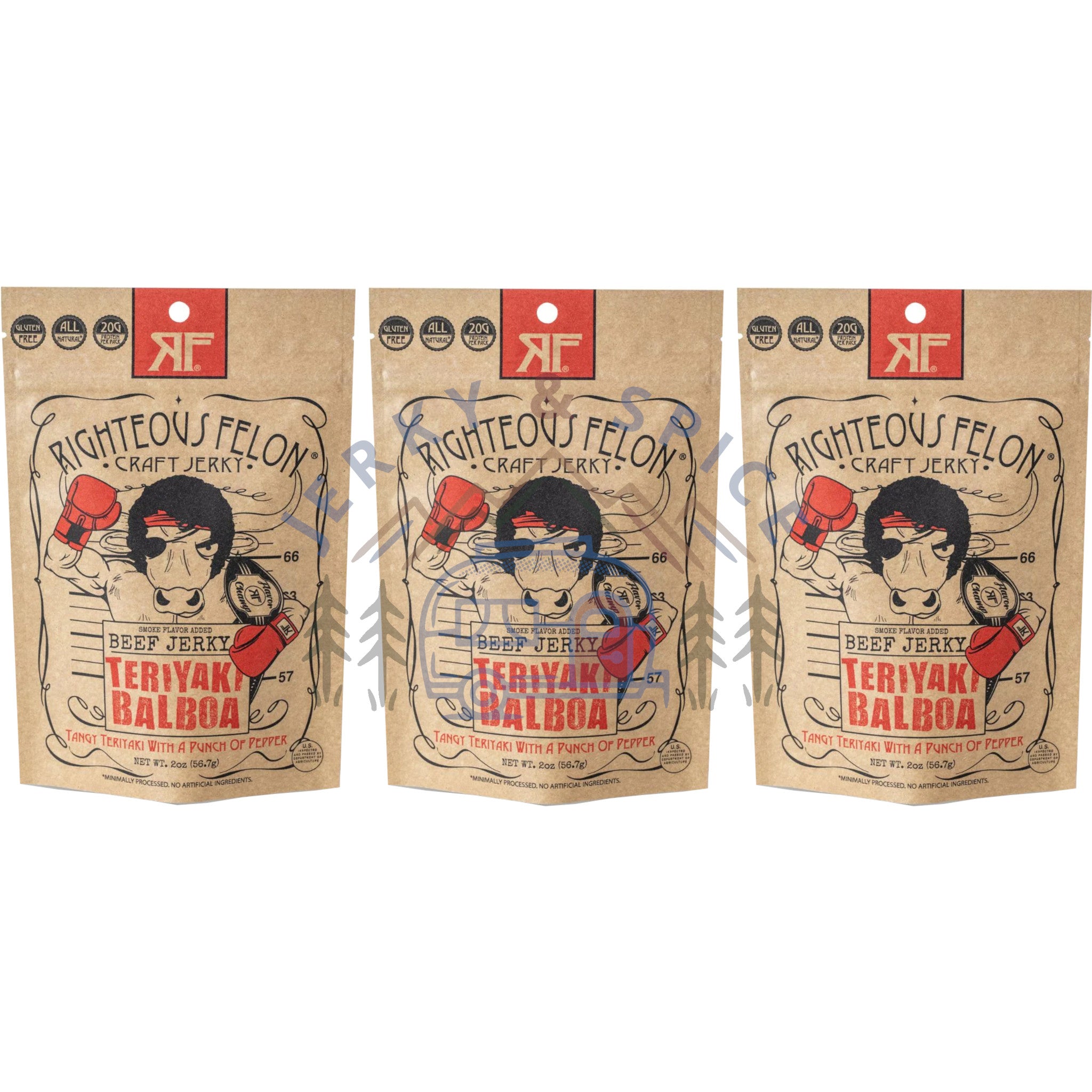 Teriyaki Balboa Beef Jerky