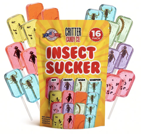 HotLix Insect Lollipops, Edible Bug Candy, Weird Food Gift, 4, 8, or 16 Pack