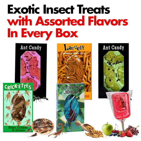 Edible Bug Sampler Pack, 6 Pack