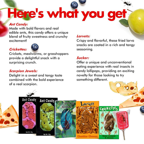 Edible Bug Sampler Pack, 6 Pack