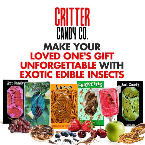 Edible Bug Sampler Pack, 6 Pack