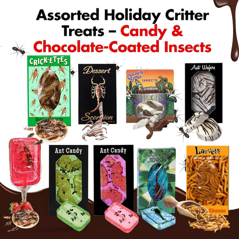 Edible Bug Ultimate Variety Pack, 9 Pack