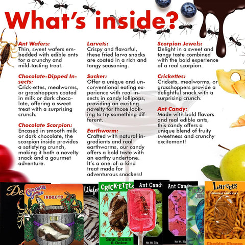 Edible Bug Ultimate Variety Pack, 9 Pack