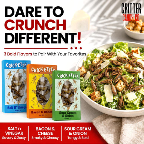 Seasoned Edible Crick-ettes Snax, 3 or 6 Pack
