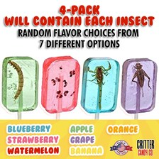 HotLix Insect Lollipops unique but tasty